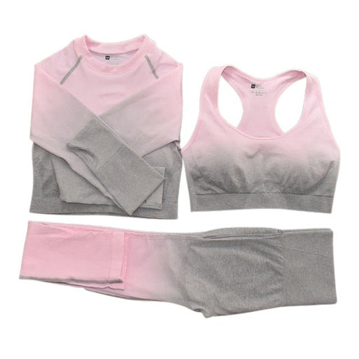 Seamless Ombre Complete Gym Set - Flamin' Fitness